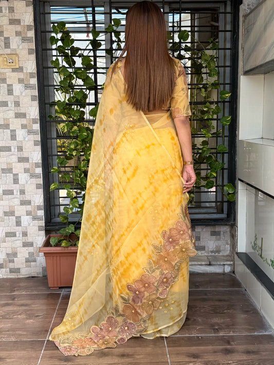 pure glass tissue designer saree
