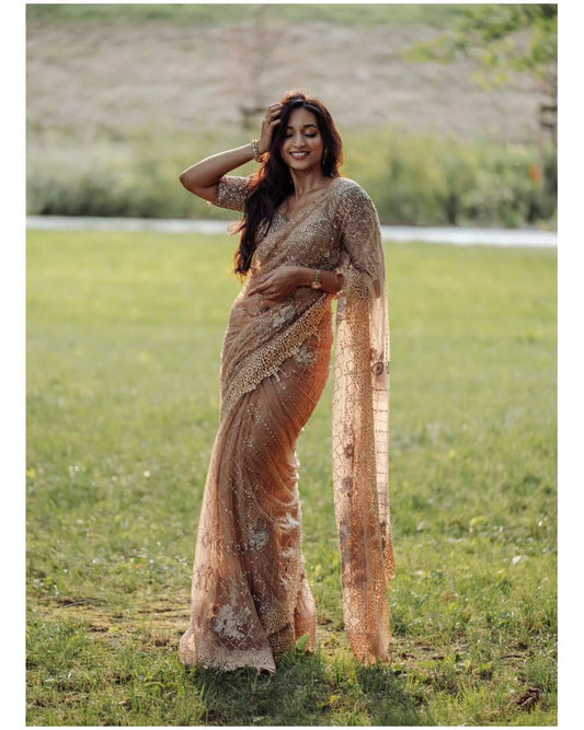 NET FABRIC WITH SEQUNCE WORK SAREE