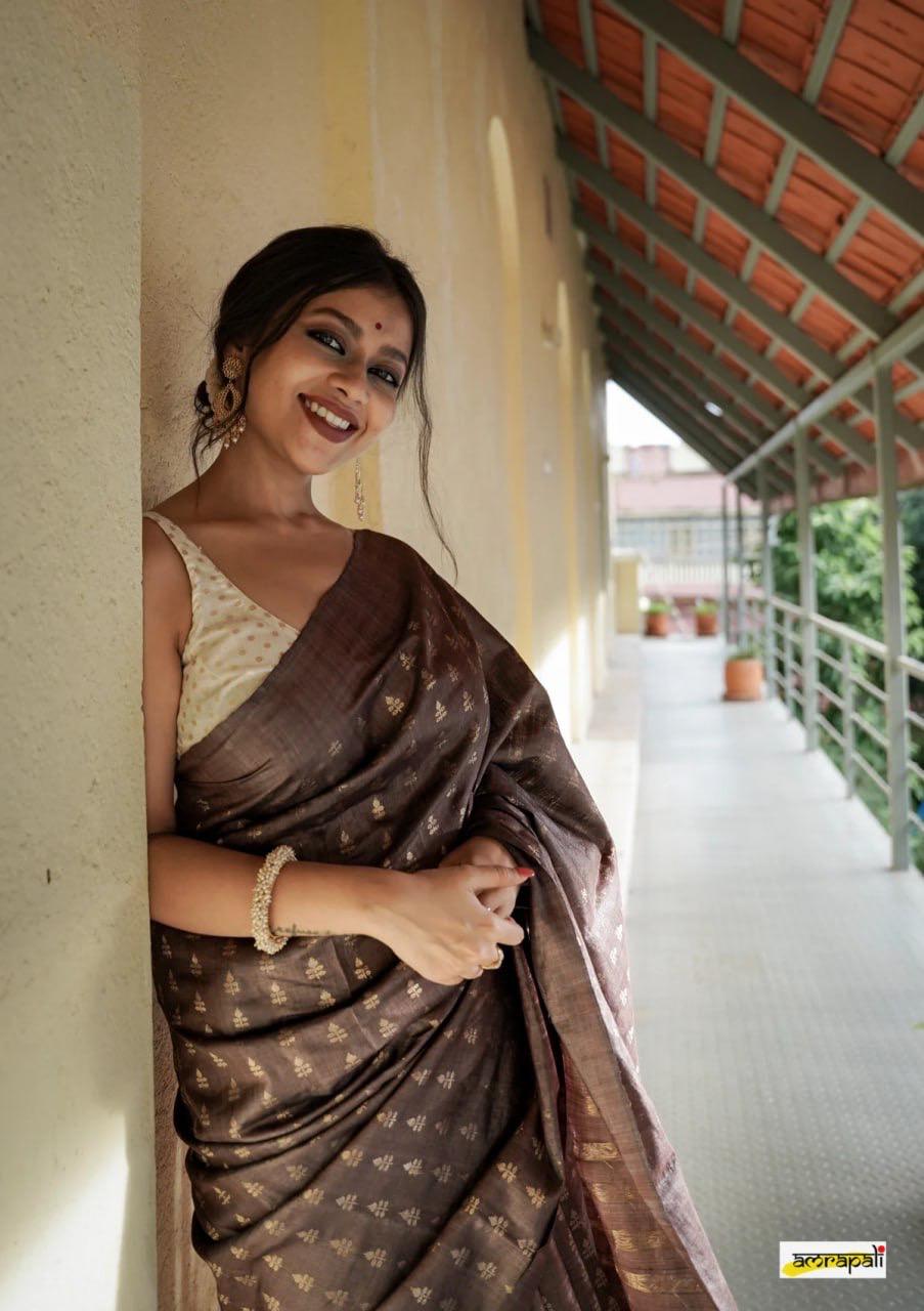 Banarasi Soft Silk Saree