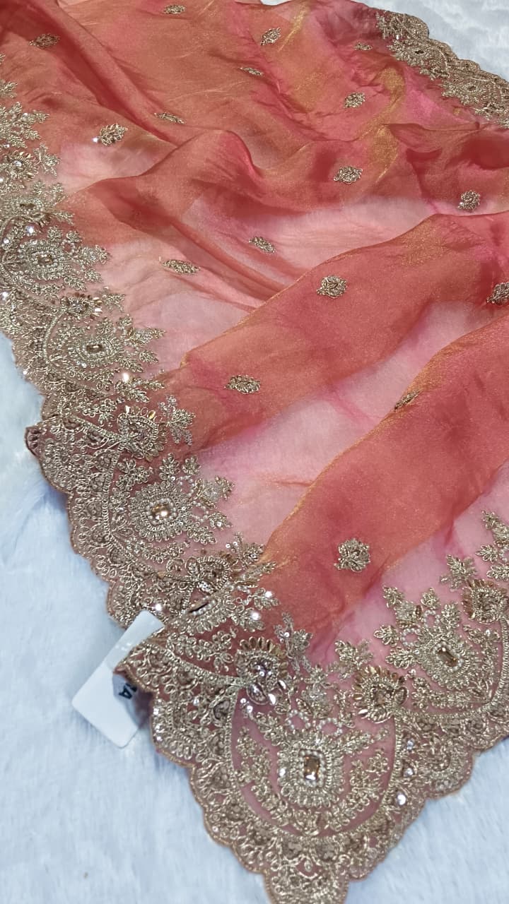 Suche jemanden für einen schönen Sari in der gleichen Farbe