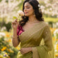 Elegant Soft Space Chiffon Saree