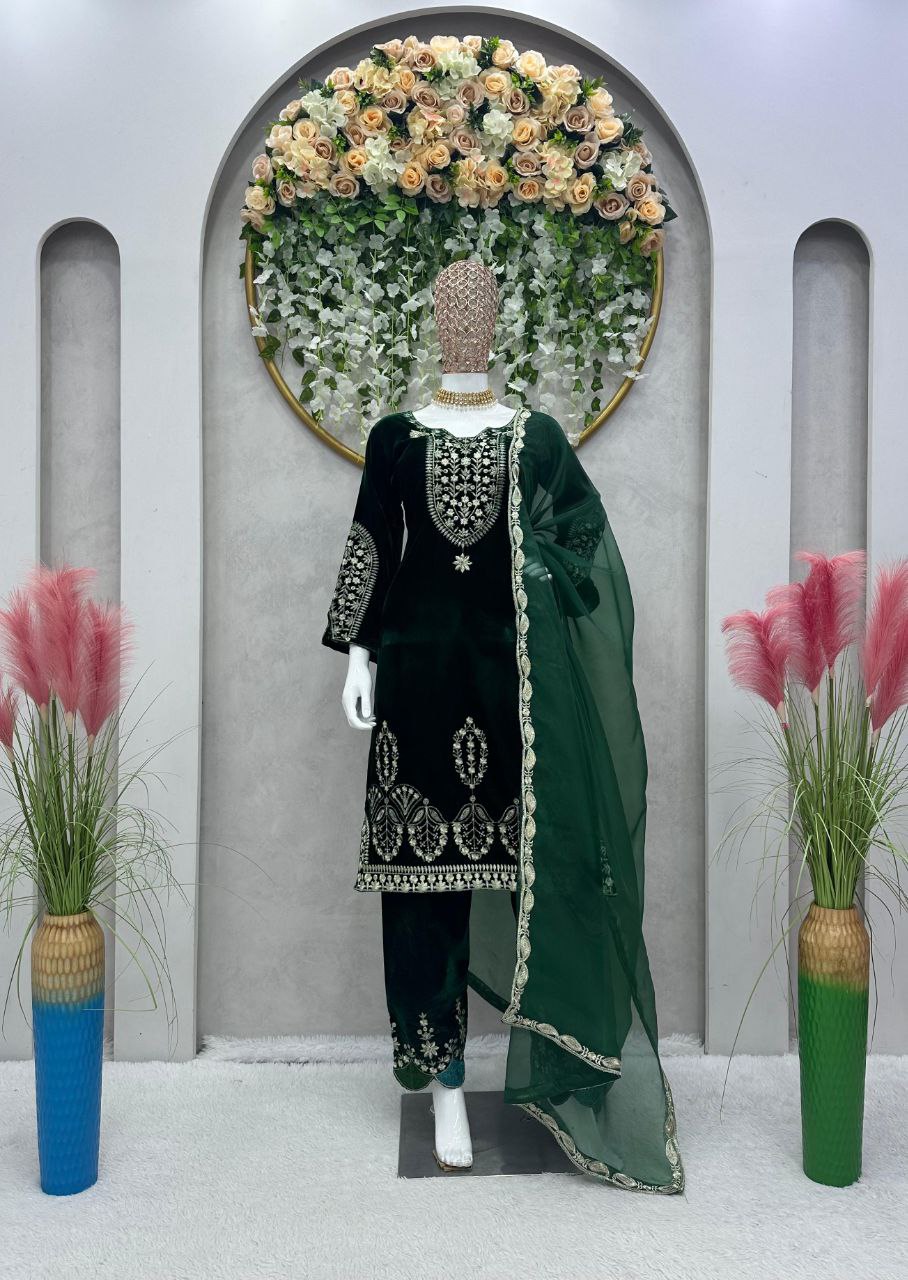 Beautiful Designer Suit On havy Velvet Suite