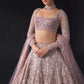 Premium Net Embellished With Beautiful Thread Embroidery Lehenga Choli