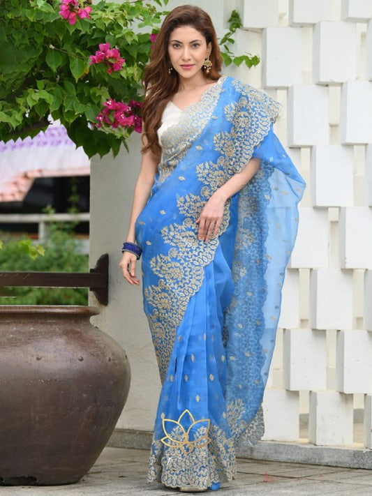 Most beautiful collection in Orgenza fabric Saree