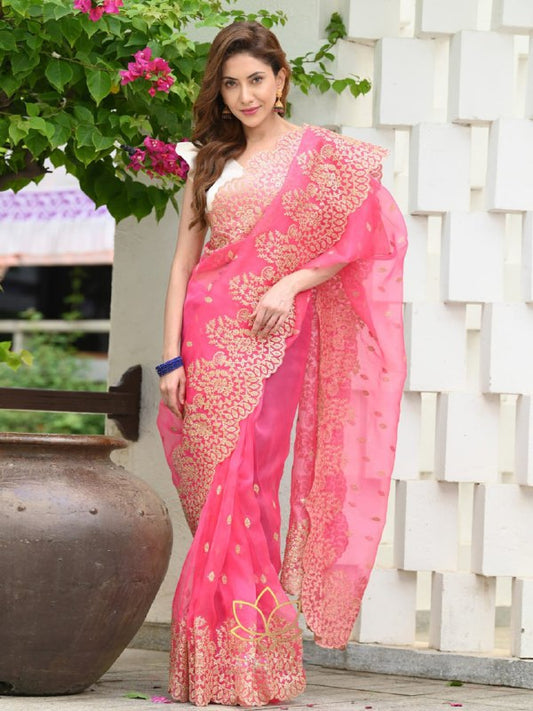 Most beautiful collection in Orgenza fabric Saree