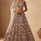 Net lehenga with rainbow sequins Dori & thread work choli