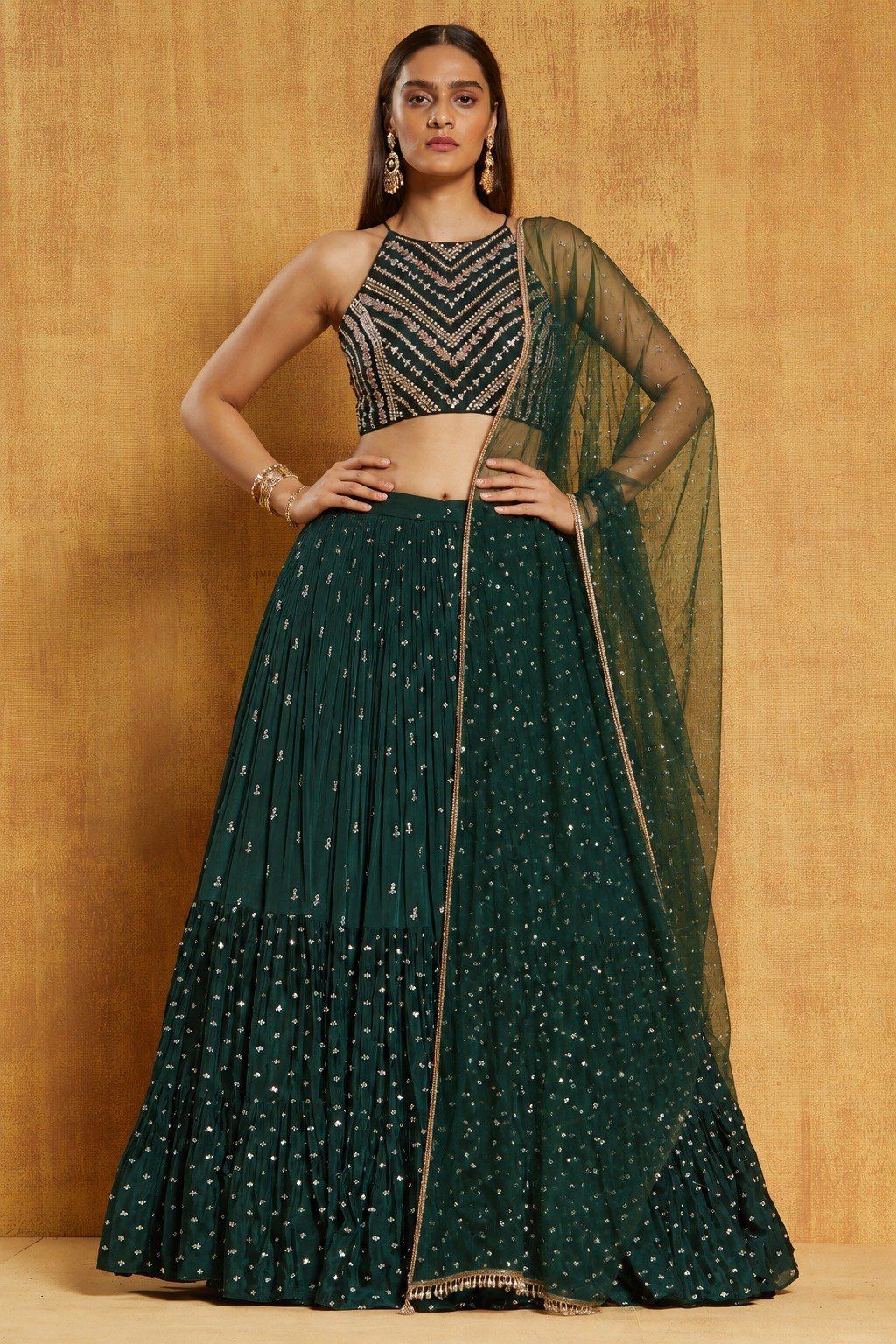 Goergette Zari Sequence Embroidery Choli