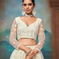 Soft Net Heavy Zari Sequence & Embroidery Work Choli