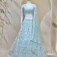 Soft Net Heavy Zari Sequence & Embroidery Work Choli
