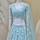 Soft Net Heavy Zari Sequence & Embroidery Work Choli