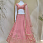 Premium Fancy Fabric Heavy Zari Sequence Choli