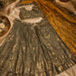 Presenting You Most Amazing Sequins Work Lehenga Set