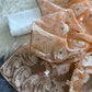 Organza Silk and the making being chikankari saree