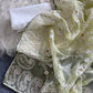 Organza Silk and the making being chikankari saree
