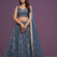 Net Thread Sequence,embroidery With Real mirror choli