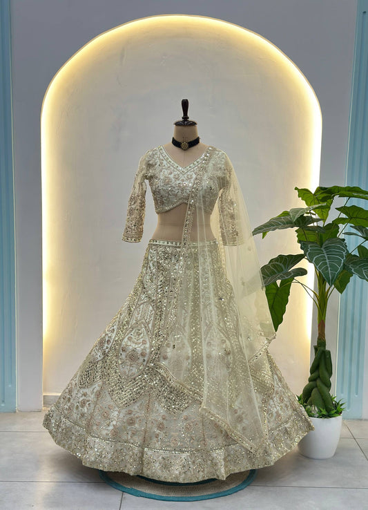 Butterfly Net Sequins and Codding Embroidery Work Lehenga