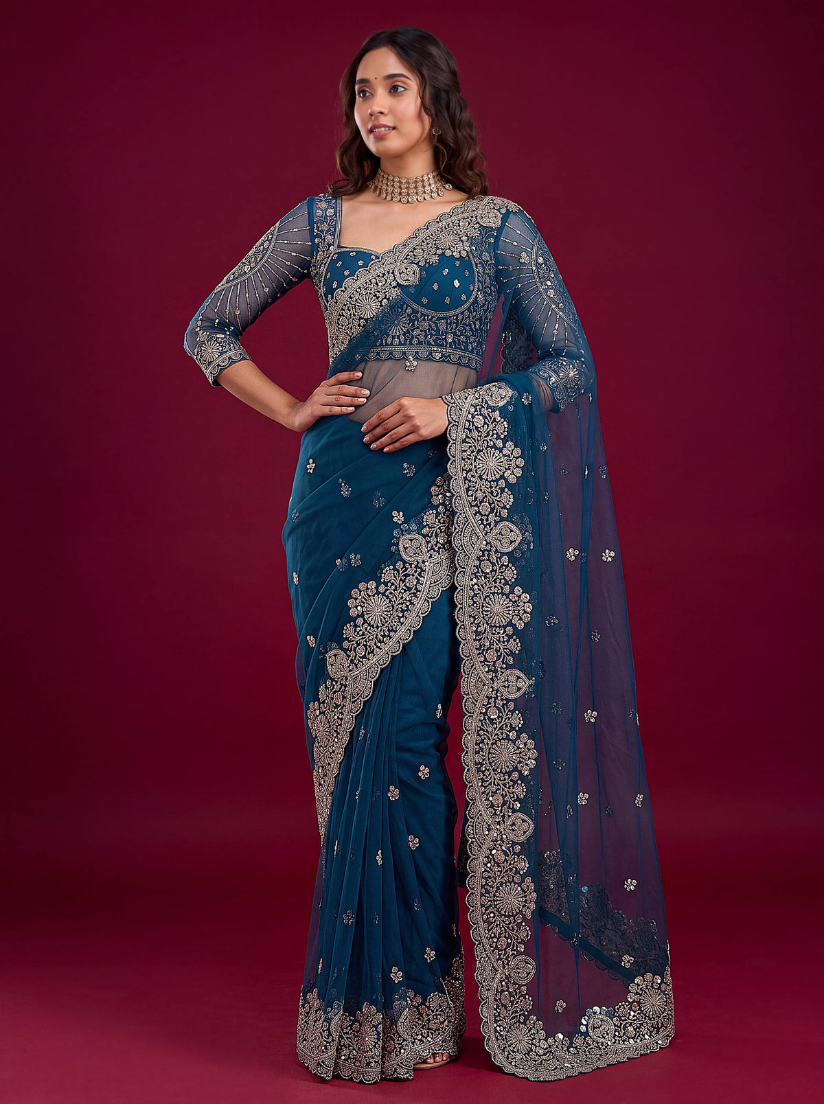 Net sequence Embroidery Work Saree