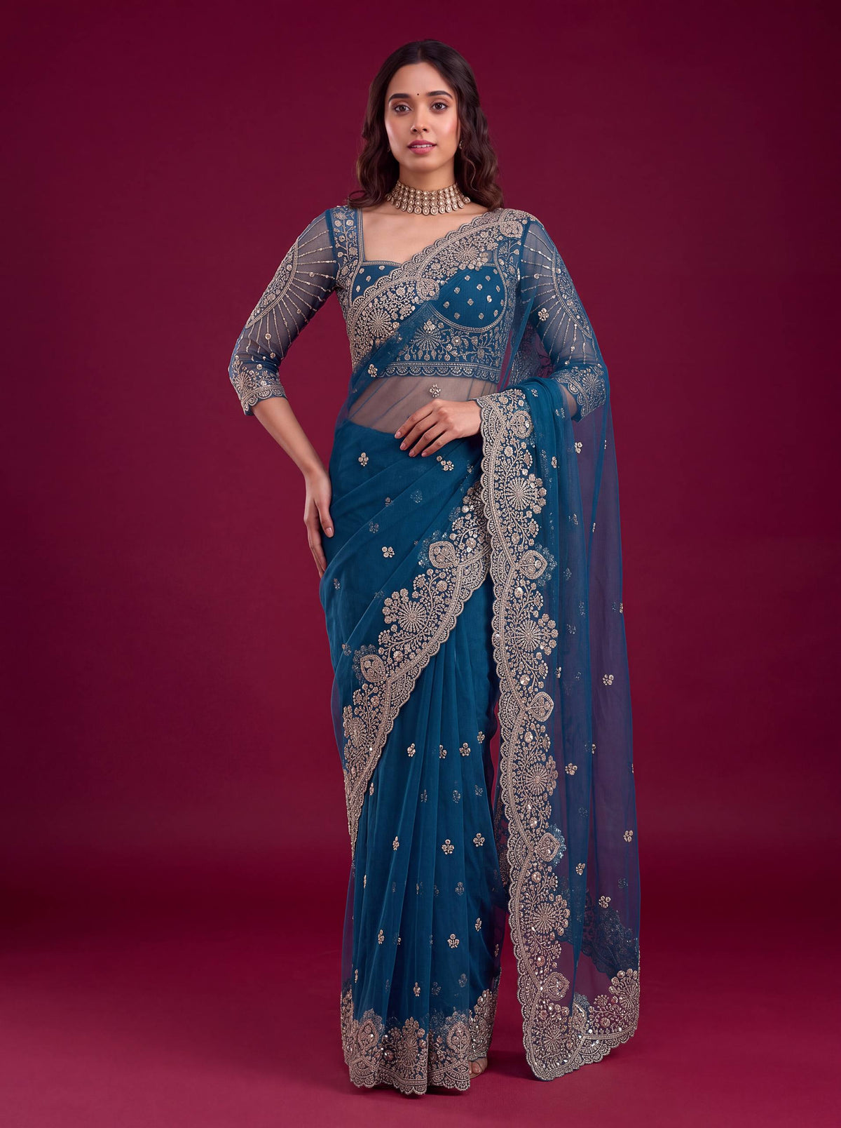 Net sequence Embroidery Work Saree