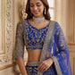 Butterfly Net Sequins and Codding Embroidery Work Lehenga