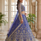 Butterfly Net Sequins and Codding Embroidery Work Lehenga