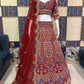 Launching 4 meter flared Coding Sequins Cut Work Lehenga