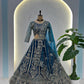 Butterfly Net Sequins and Codding Embroidery Work Choli