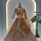 Butterfly Net Sequins and Codding Embroidery Work Choli