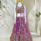 Fandy Zari Sequence & Embroidery Choli