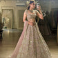 Net lehenga with sequins dori & zari thread work choli