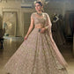 Net lehenga with sequins dori & zari thread work choli