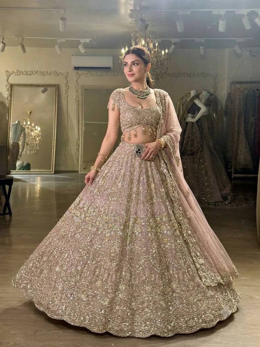 Net lehenga with sequins dori & zari thread work choli