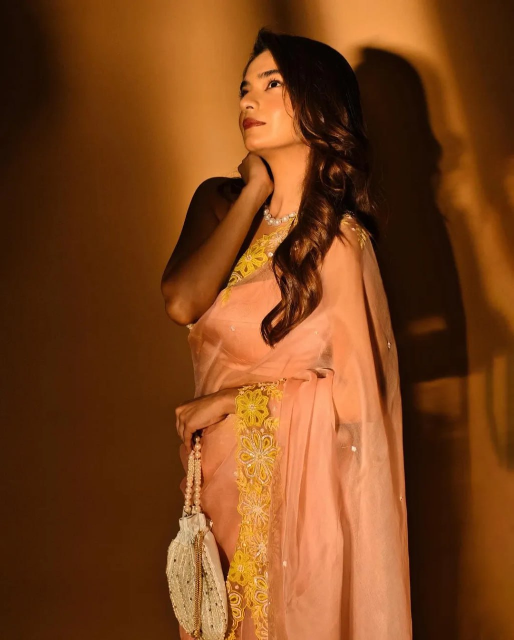 Heavy Soft Organza Saree