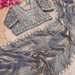 Beautiful Sequence Brits C- pallu work along saree