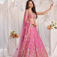 Fandy Zari Sequence & Embroidery Choli
