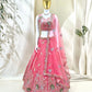 Fandy Zari Sequence & Embroidery Choli