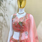 Fandy Zari Sequence & Embroidery Choli