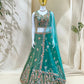 Fandy Zari Sequence & Embroidery Choli