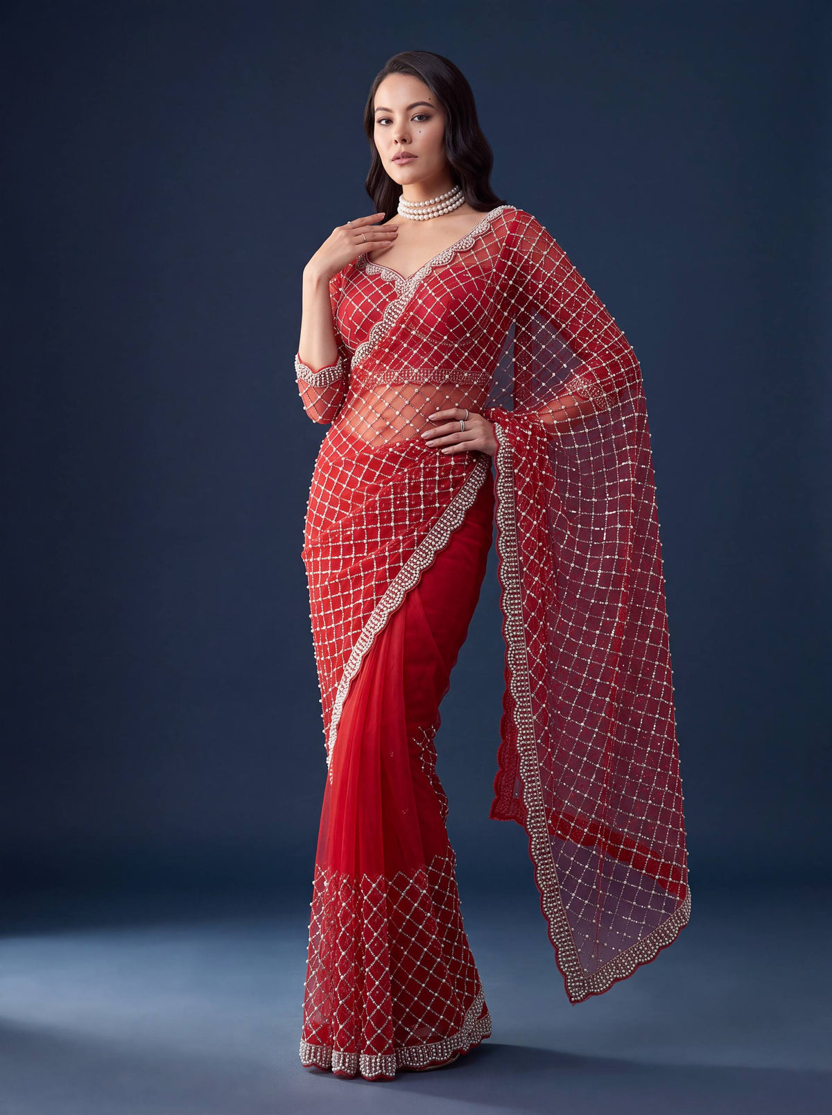 Net Intricately Bidds handwork embroidered saree