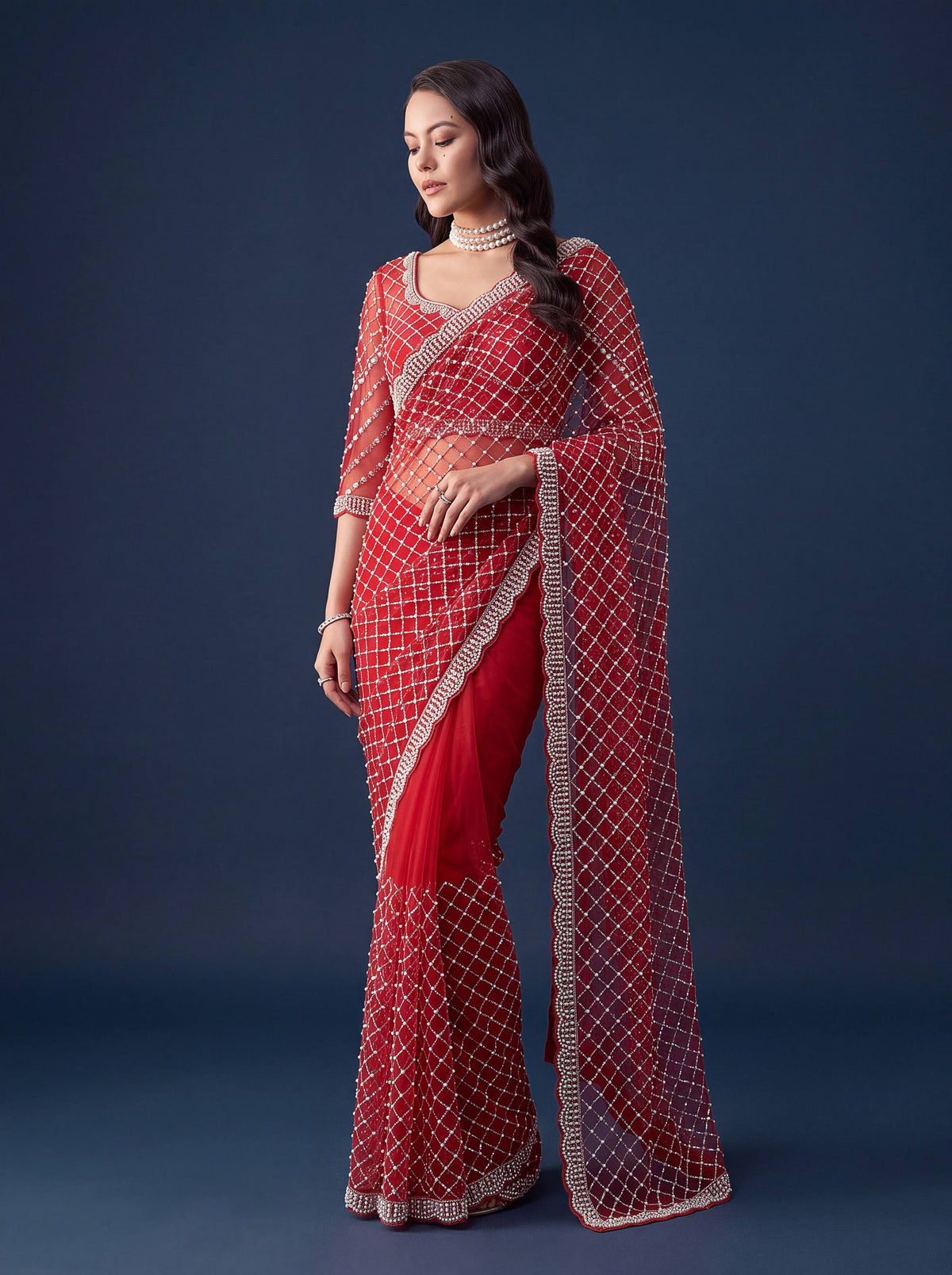 Net Intricately Bidds handwork embroidered saree