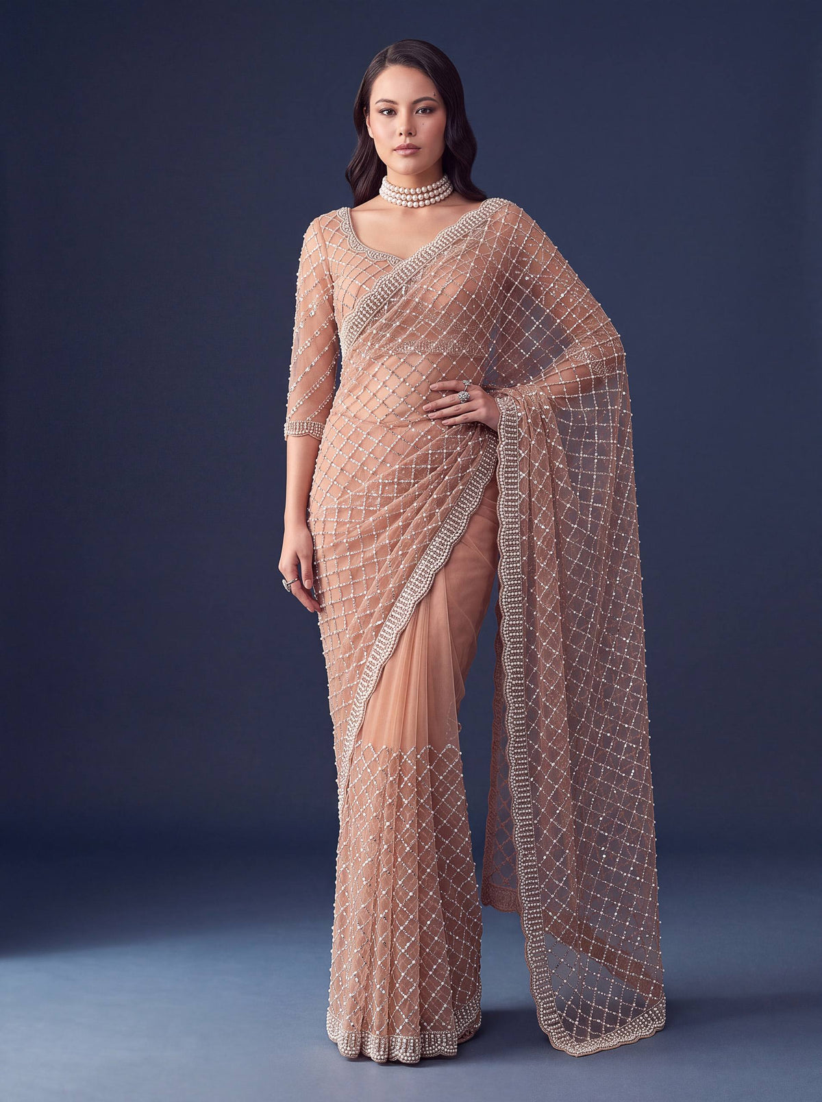 Net Intricately Bidds handwork embroidered saree