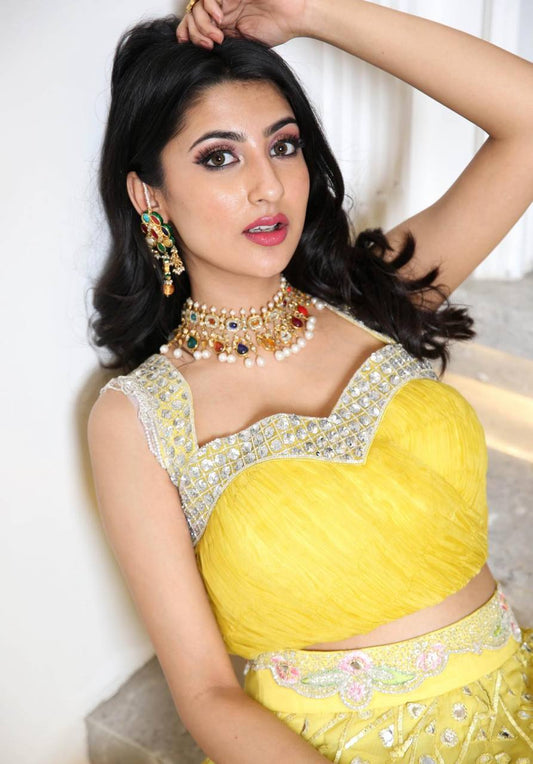 Georget lehnga with zari & foil paper work lehenga