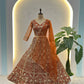 Butterfly Net Sequins and Codding Embroidery Work Lehenga