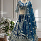 Butterfly Net Sequins and Codding Embroidery Work Lehenga