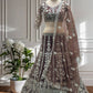 Butterfly Net Sequins and Codding Embroidery Work Lehenga