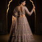 Launching 4 meter flared Butterfly Net Lehenga