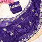 Beautiful Sequence Brits C- pallu work along saree