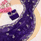 Beautiful Sequence Brits C- pallu work along saree