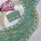 Beautiful Sequence Brits C- pallu work along saree