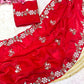 Beautiful Sequence Brits C- pallu work along saree
