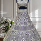 Butterfly Net Sequins and Zaroi Embroidery Work Lehenga